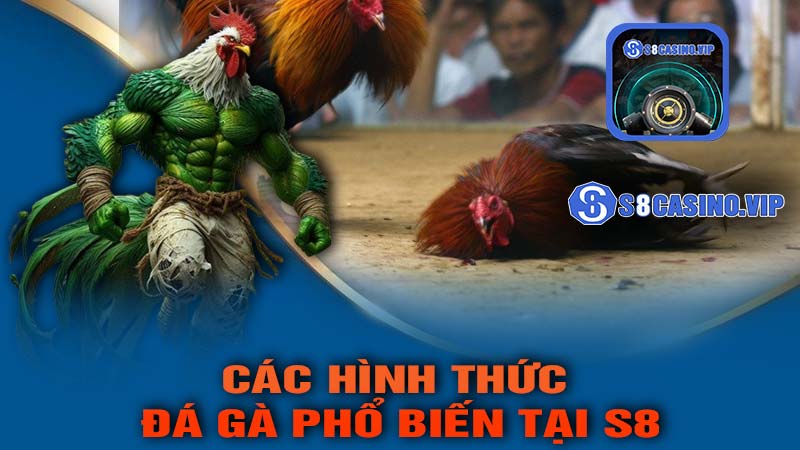 Các Hình Thức Đá Gà Phổ Biến Tại S8