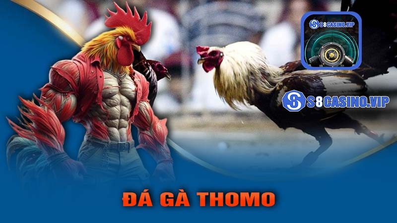 Đá Gà Thomo