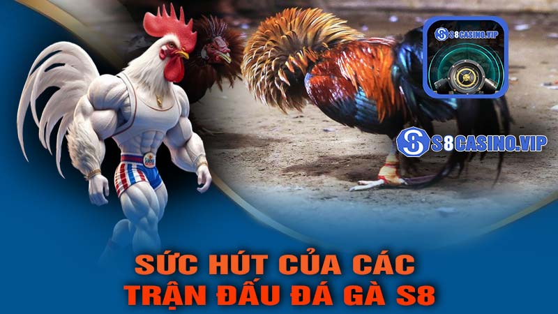 Sức Hút Của Các Trận Đấu Đá Gà S8